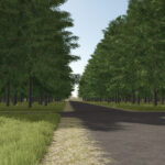 Golden Lands5