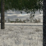 Golden Lands6