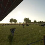 Great Grandfathers Farm3