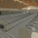 Hoermann Cow Barn4