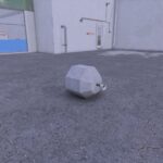 Homemade weight4