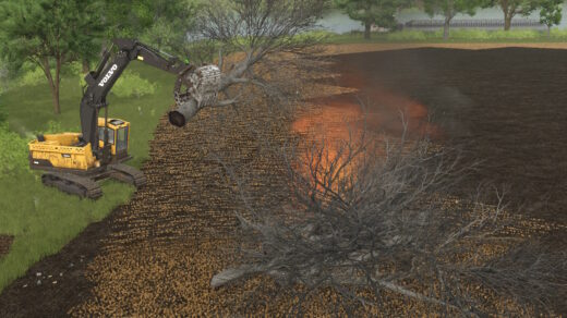 Land Clearing