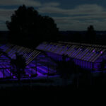 Large Glass Greenhouse Package4