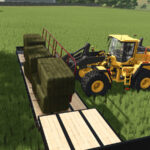 Lizard Big Bale Fork3