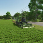 Lizard HarvestGIANT2