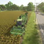 Lizard HarvestGIANT3