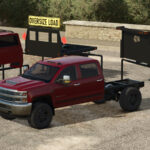 Lizard Silver 25002