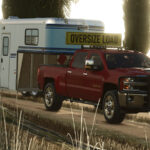 Lizard Silver 25003