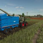 Lizard Trailers4
