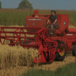 MF 873