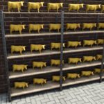 Match Map 4fach Mulifruit Challenge Map v1.06