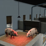Modern Pigsty4