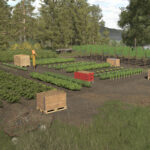 Polish Garden