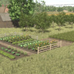 Polish Garden2
