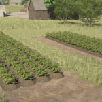 Polish Garden3