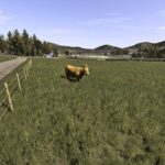 Reshade L.C4S3
