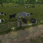 Simple Cow Pasture3