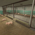 Small Pigsty5