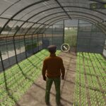 Small Rice Sapling Greenhouse2