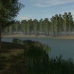 Staby Forest