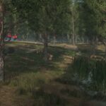 Staby Forest3