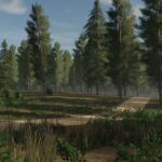 Staby Forest4