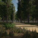 Staby Forest5
