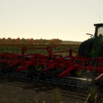 Sunflower 5056