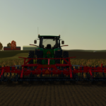 Sunflower 50562