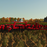 Sunflower 50565