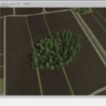 Tree Generator