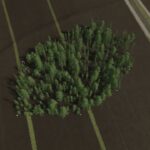 Tree Generator2