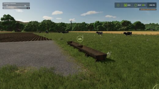Trough to decorate pasture