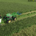 Alfalfa Silage Additive3