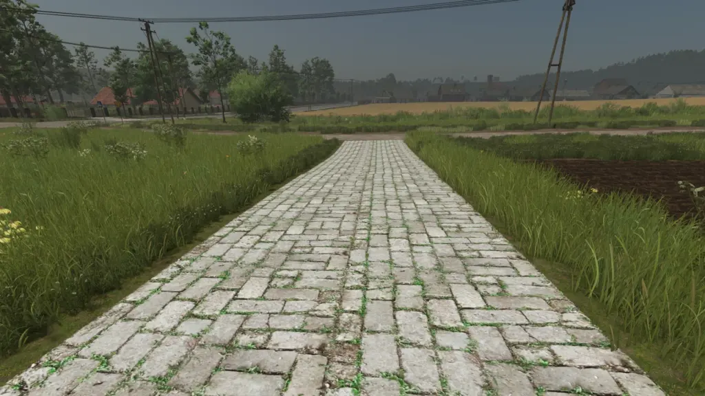 Asphalt and Paved Roads V1.0