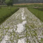 Asphalt and Paved Roads V1.02