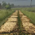 Asphalt and Paved Roads V1.03