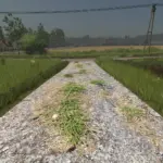 Asphalt and Paved Roads V1.04