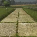 Asphalt and Paved Roads V1.05