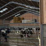 AutoStorage Animal Barn3
