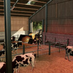 AutoStorage Animal Barn4