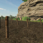 Barbed Wire Fence
