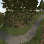 Brown Pine Ridge3