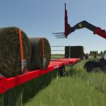 CARGO Promodis6