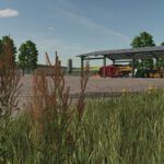 Cows Farm