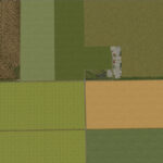 Cows Farm2