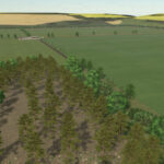Cows Farm3
