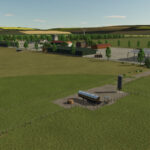 Cows Farm3