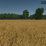 Crop Rotation