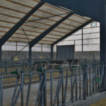 Deep-Bedded Cowshed3